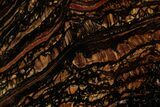 Polished Tiger Iron Stromatolite Slab - Billion Years #353242-1